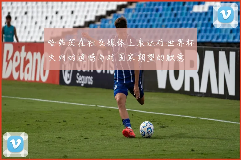 哈弗茨在社交媒体上表达对世界杯失利的遗憾与对国家期望的歉意